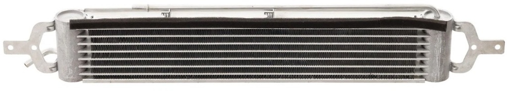 02-08 Mini Cooper Base 1.6L Naturally Aspirated
